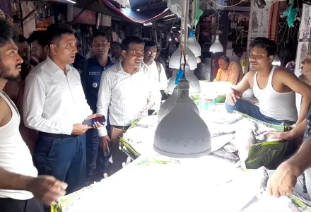 ভারতীয় ইলিশকে দেশীয় বলে বিক্রি, যশোরে আড়তদারকে জরিমানা